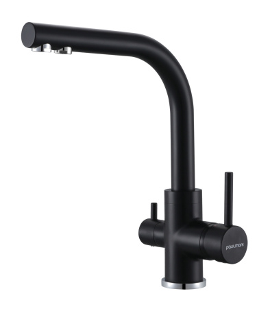 Смеситель для кухни с подключением к фильтру  Paulmark Essen Es213011-401TB